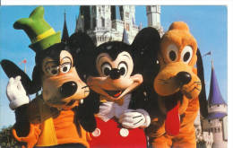 Walt Disney World - Goofy, Mickey Mouse And Pluto - Disneyworld