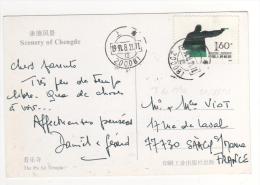 Beau Timbre " Tir " / Carte Du  21/8/91 Pour La France , 2 Scans - Storia Postale