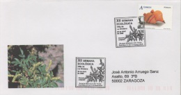 SPAIN. POSTMARK ENVIRONMENT WEEK. VILLA DE LA OROTAVA. 2008 - Franking Machines (EMA)