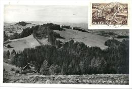 Rehetobel - Gupf Mit Speicher Und St.Gallen         1941 - Speicher