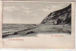 Allemagne - Rauschen Warnicken - Die Lopeder Spitze - La Plage Et Les Falaises - CPA Précurseur - Ostpreussen