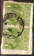 TASMANIA - 1934 Postmark CDS On Pair Of 1d Green King George V - BUCKLAND - Usados