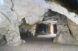 Cueva San Saturio Soria - Soria