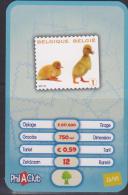 Belgium PhilAClub Cards 14/93-15/93-19/93 Mi 4050 Chicks - Mi 4054 Foal - Mi 4058 Foal 2010 - Verzamelingen