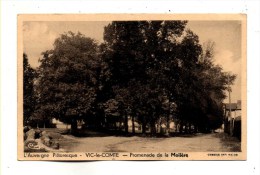 Vic Le Comte Vue Du Parc Promenade De La Moliere Ecrite En 1950 Serie L'Auvergne Pittoresque - Vic Le Comte