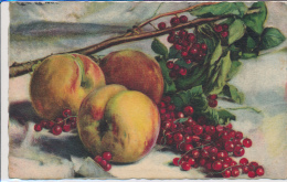 C. CHIOSTRI, FRUIT, PEACHES AND REDCURRANTS, Near EX Cond. PC, Not Mailed, 1930s - Chiostri, Carlo