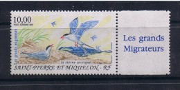 N° 74 La Sterne Artique  NEUF** - Unused Stamps