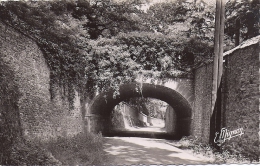 Cpsm St Chéron, Le Pont De La Tuilerie - Saint Cheron