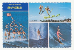 {35029} USA , Sea World , Water Ski Spectacular , Multivues ; Ski Nautique - Water-skiing