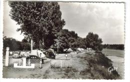 CPSM JARGEAU (Loiret) - Le Camp Des Campeurs Au Bord De La Loire - Jargeau