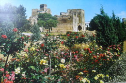 Badajoz Alcazaba - Badajoz