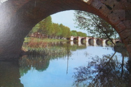 Palencia Puente Mayor - Palencia