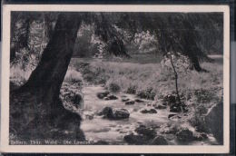 Tabarz - Die Laucha - Thüringer Wald - Tabarz