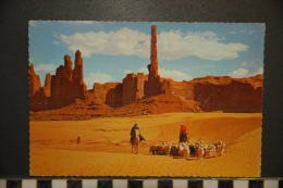 CP, Etats Unis, Flock On The Dunes Monument Valley Arizona - Andere & Zonder Classificatie