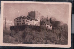 Weinfelden - Schloss - Weinfelden