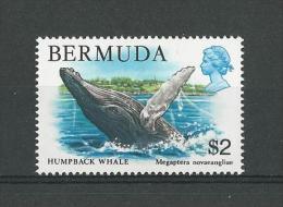 Bermudes: 367 **  Baleine - Ballenas