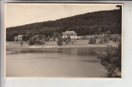3546 VÖHL - ASEL, Photo-AK, 1955, Landpoststempel "16 Asel über Korbach" - Waldeck