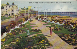 - Angleterre - Esplanade From Concert Pavillon, Bognor Regis  - - Bognor Regis