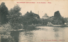 BALLANCOURT - Ile Du Saussay - Etang - Ballancourt Sur Essonne