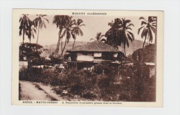 BRESIL BRAZIL  - MATTO GROSSO - Missions Salésiennes N°4  - FACTORERIE ET PALMIERS GEANTS DANS LA BROUSSE - Andere