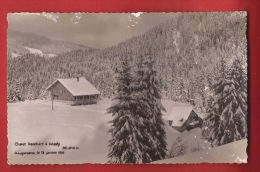 BFR-08  13 Janvier 1913, Inauguration Du Chalet ROSALY, Club Rambert Châtel-Saint, Les Paccots. Non Circulé - Autres & Non Classés