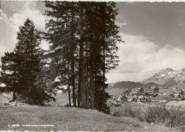 Wildhaus - Lisighaus         Ca. 1950 - Wildhaus-Alt Sankt Johann