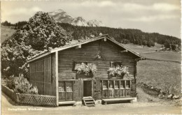 Wildhaus - Zwinglihaus  (Reformator)         Ca. 1950 - Wildhaus-Alt Sankt Johann