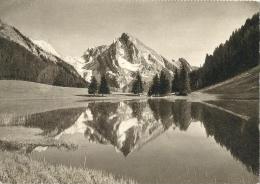 Gräppelensee (Obertoggenburg) - Mit Schafberg           1937 - Wildhaus-Alt Sankt Johann