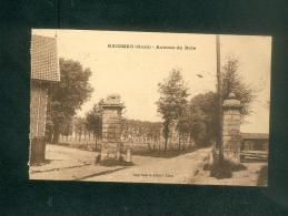 Raismes (59) - Avenue Du Bois ( Impr. Albert Lion) - Raismes