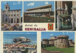 SENIGALLIA SALUTI -ANCONA -VEDUTE E STEMMA -VIAGG. - Senigallia