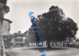 01 -  PEROUGES - PLACE DE LA HALLE  TILLEUL CADRAN SOLAIRE - Pérouges