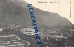 01 -  CULOZ - VUE GENERALE - Non Classés