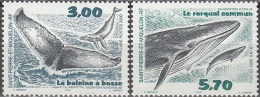 Saint-Pierre & Miquelon 2000 Yvert 707 - 708 Neuf ** Cote (2015) 6.20 Euro La Baleine à Bosse & Le Rorqual Commun - Nuevos