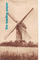 WORMHOUT - Un Moulin à Vent - - Wormhout