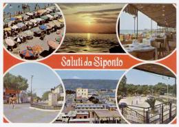 MANFREDONIA, SALUTI E VEDUTINE DI SIPONTO, FINESTRELLE, FORMATO GRANDE    **** - Manfredonia