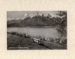 44713     Svizzera,     Hilterfingen Am  Thunnersee -  Niesen,  VG  1950 - Hilterfingen