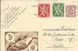 SCEAU ETAT 65 C: + Complément Affranchissement étranger, De Bruxelles 4 à Paris 1949 Publicté Publibel 812 - Postkarten 1934-1951