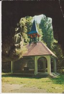 Delcampe - Darney Grotte Et Chapelle St Martin - Darney