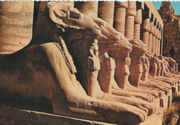 Egypt   Karnak  Widder Spinxe   #  03083 - Sphinx