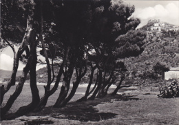 Italie,italia,campania,ca Mpanie,SALERNO EN 1966,SALERNE,costa Cilentana,s Marco Di Castelbate,cote Amalfitaine - Salerno