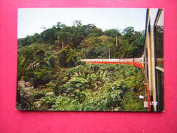 CPM   CONGO C F C O  TRAIN DE VOYAGEURS DANS LA FORET DU MAYOMBE    VOYAGEE 1980 ?? - Altri & Non Classificati