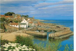 Royaume Uni - Ecosse - Crail, Fife - Fife