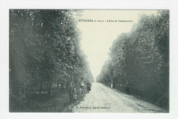 AVERNES - Allée De Gadancourt - Avernes