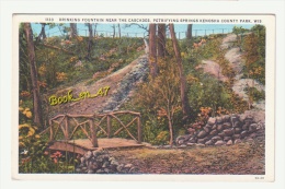 {35100} USA , Wisconsin , Drinking Fountain Near The Cascades , Petrifying Springs Kenosha County Park - Kenosha