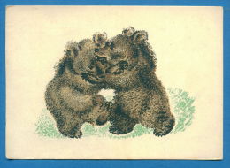 139697 / Russian Illustrator  Yevgeny Ivanovich Charushin - Wrestling , Lutte , Ringen  BEAR - Publ. Russia Russie - Ours