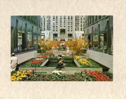 44741     Stati  Uniti,   The  Channel Gardens - Rockefeller Center -  New York City,  NV - Parken & Tuinen