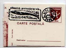 WHALE Rorqual Baleine  Wal  Cancellation  Alba-julia 25 12 1986 Roumanie On Postal Stationery - Whales