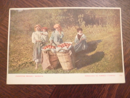 CPA Grèce Corfou. Vendeuses De Pomme. - Griechenland