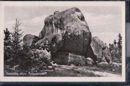 Ilsenburg - Froschfelsen - Harz - Ilsenburg