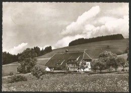 ATDORF Gasthaus Pension HOTZENHOF Amt Säckingen Waldshut Wehr 1959 - Waldshut-Tiengen